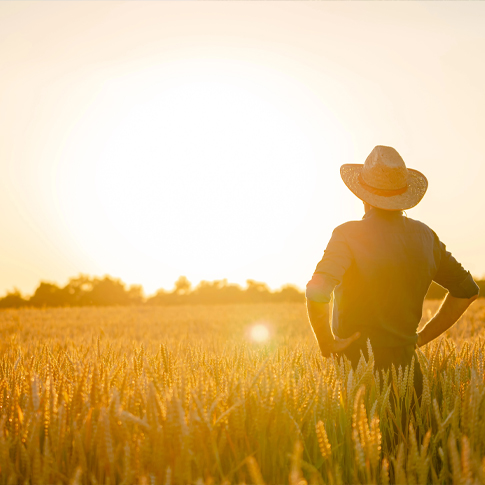 Farm Specific Consulting