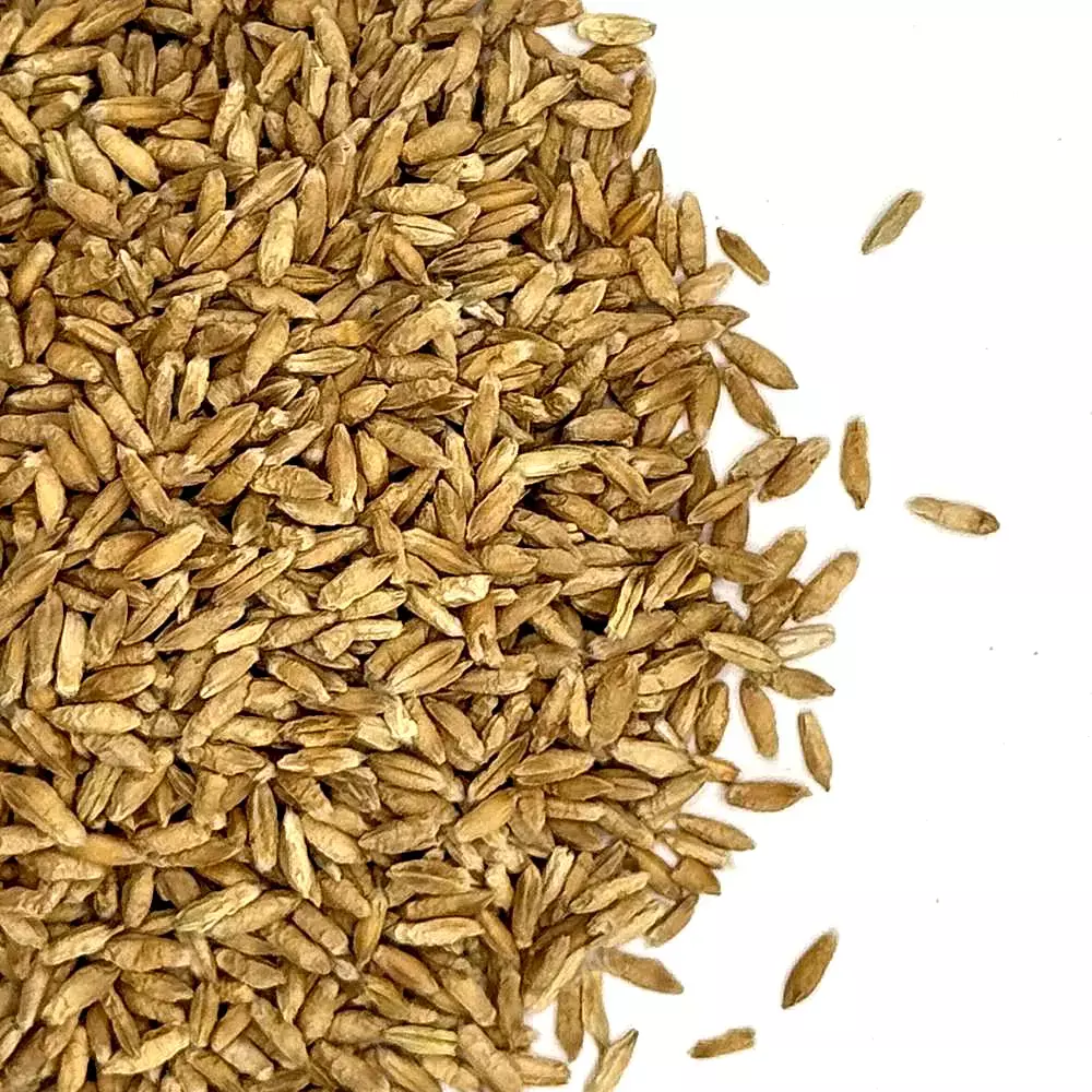 Fridge Triticale 