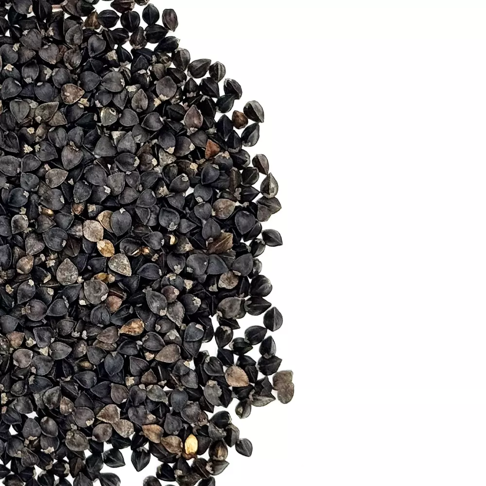 Mancan Buckwheat