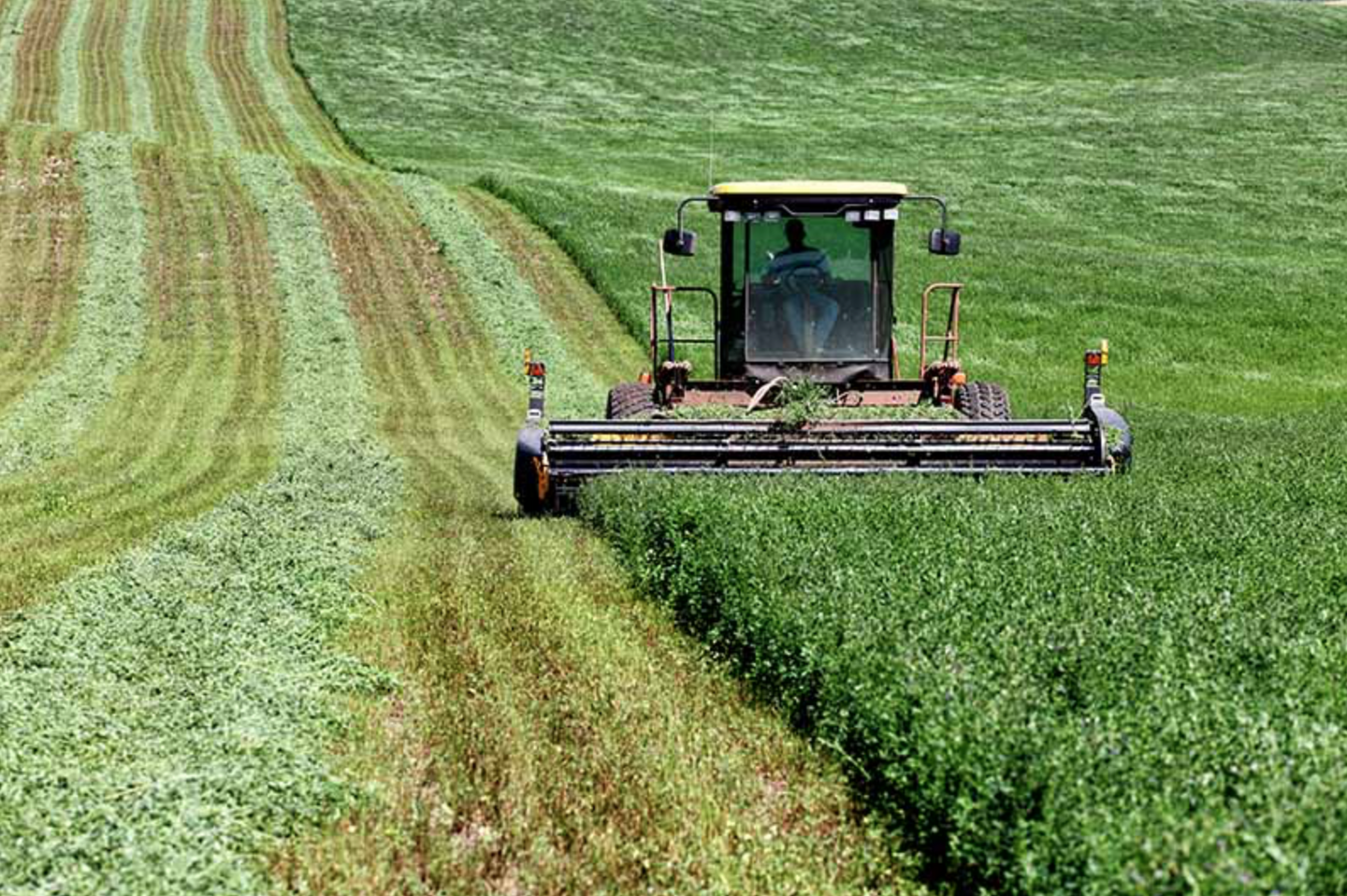Boost Soil Health and Profitability with Cover Crops