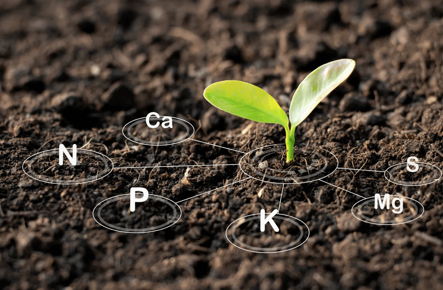The 5 Principles of Soil Health Every Farmer Should Know