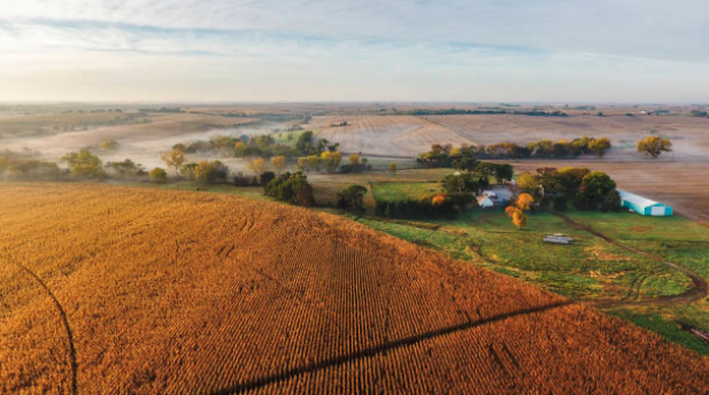 Using Cover Crops to Reduce Nitrogen Loss in Sandier Nebraska Soils